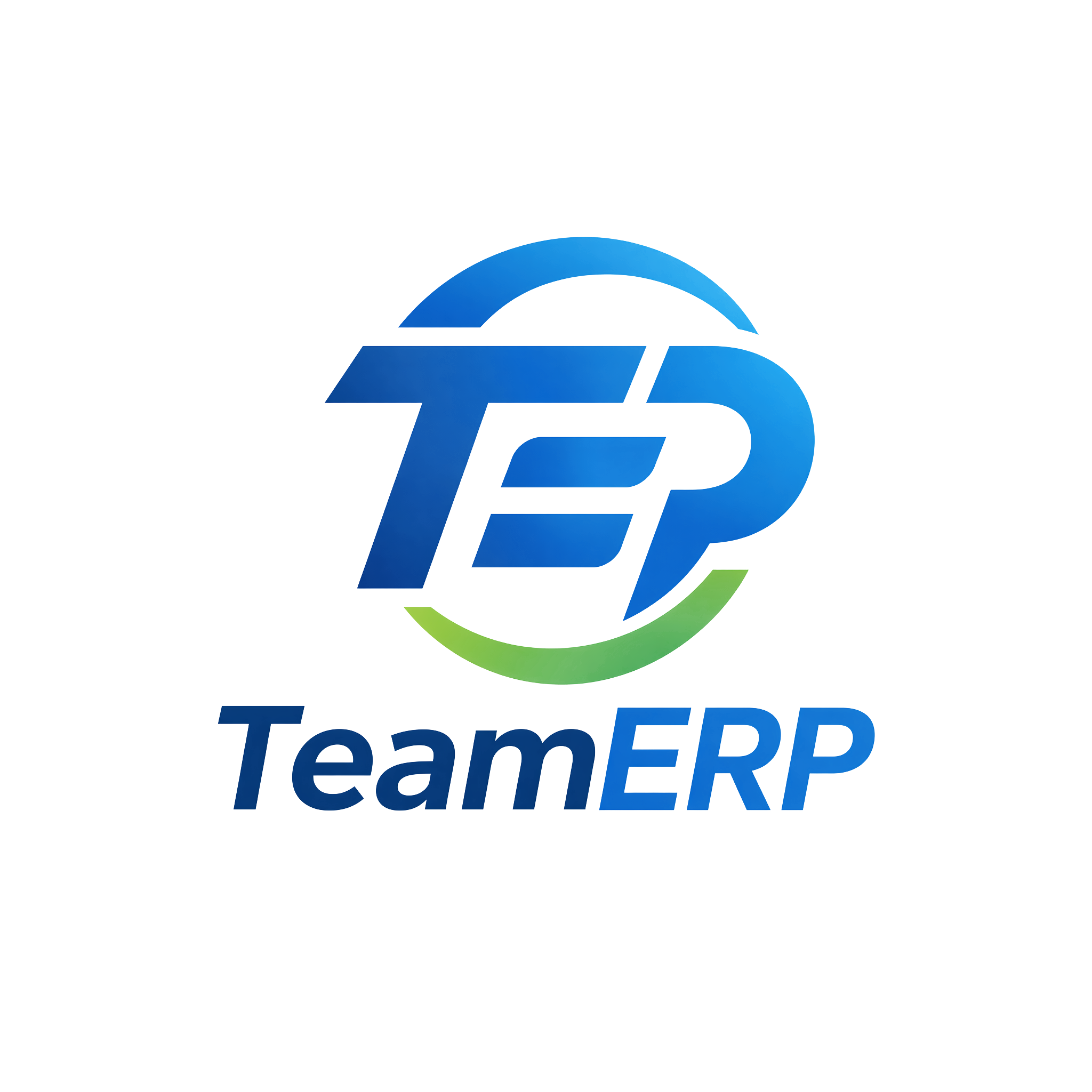 TEAM-ERP Logo